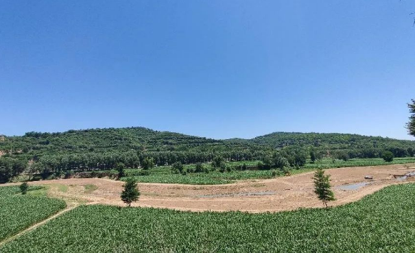 市产投集团上半年项目建设进展顺利(图12) 市产投集团上半年项目建设进展顺利(图12)